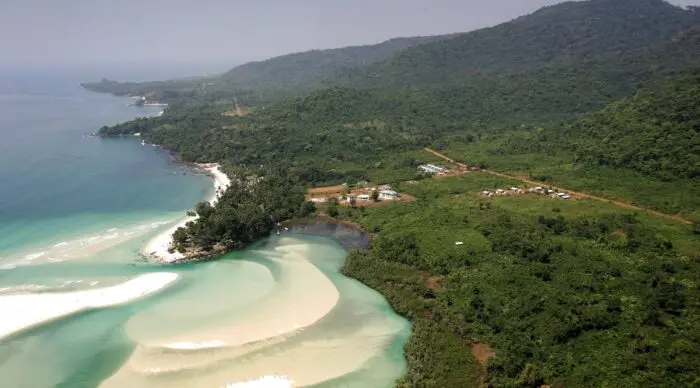 WFP Launches New Study Into Rampant Deforestation in Western Area Peninsular National Park